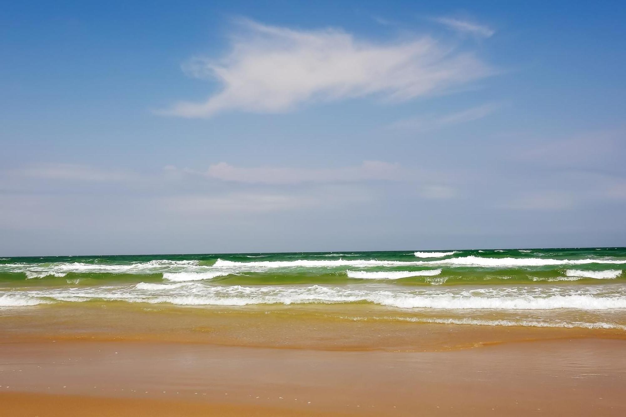Surfside Condos South Padre Island Bilik gambar