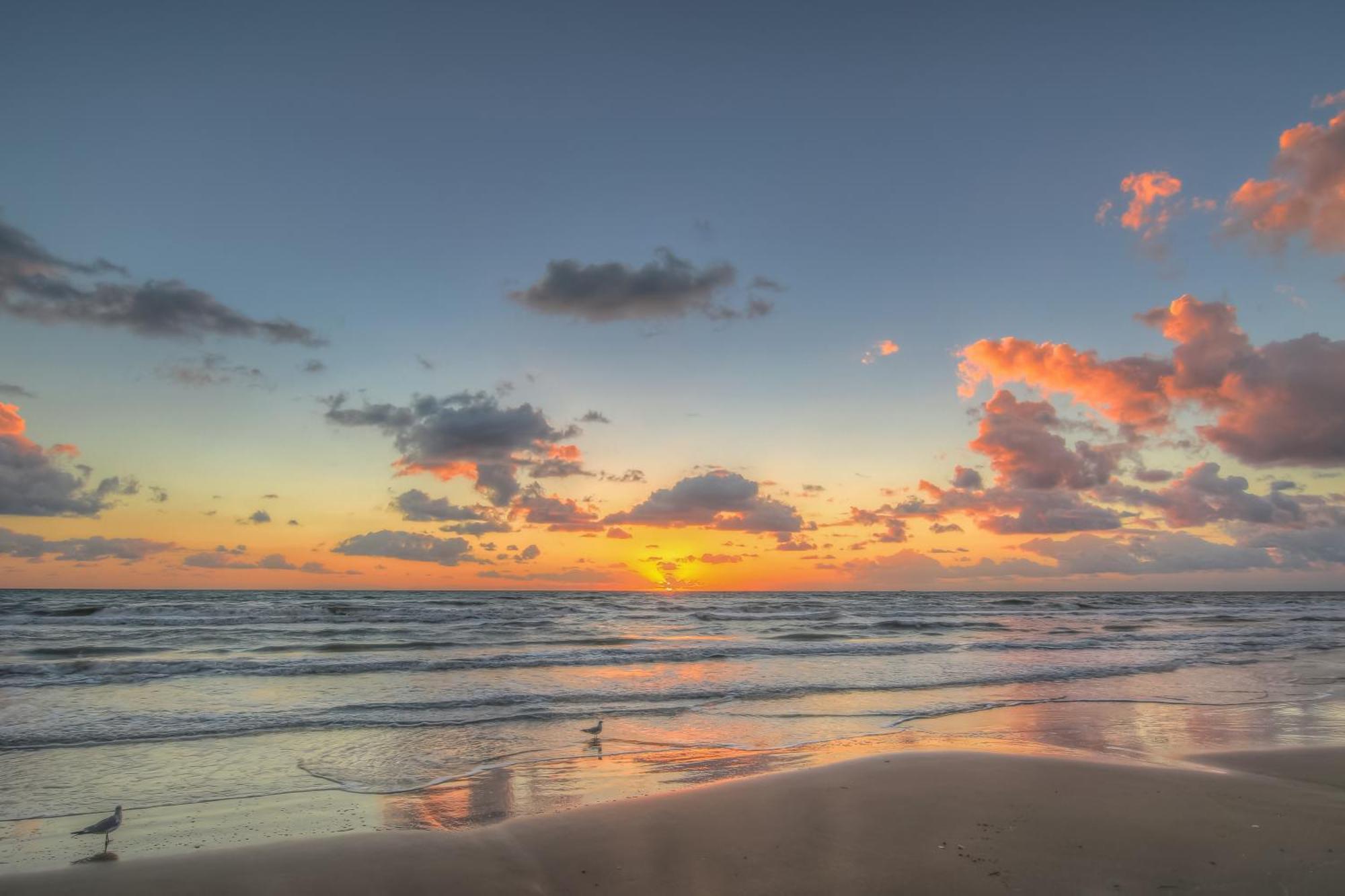 Surfside Condos South Padre Island Bilik gambar